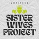 Untitled Sister Wives Project