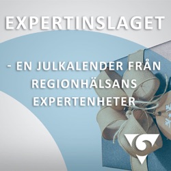 Expertinslaget