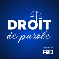 Ép. 1 - Les Opinions Impopulaires sur les Études en Droit