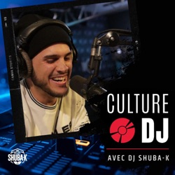 L'HISTOIRE DES DJ - EP 3 - Du dub au riddim