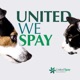 006: Addressing the Root Cause: A Conversation on Spay-Neuter Initiatives with Cheri Storms