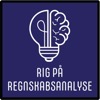 Rig på regnskabsanalyse