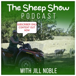 Focus on Forelimbs with Matt Hill - Sheep shoulders everything you need to know