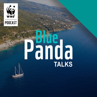 Blue Panda Talks Blue Panda Talks