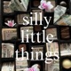 silly little things 
