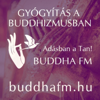 Mirabola - BuddhaFM