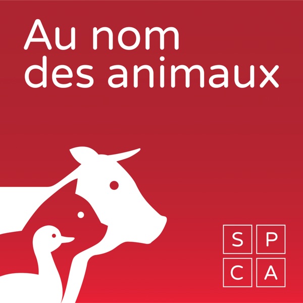 Au nom des animaux