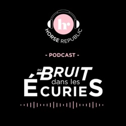 Du Bruit dans les Ecuries