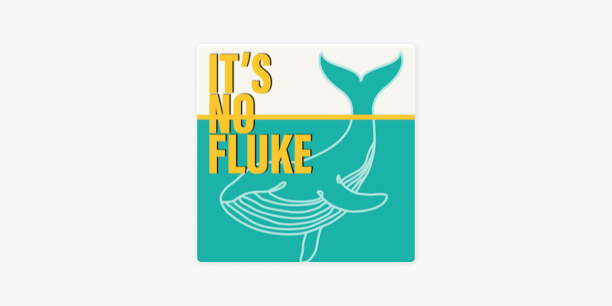 No Fluke