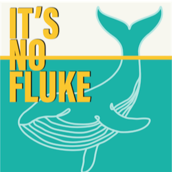 It's No Fluke artwork