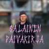 Salainen päiväkirja - Veikka Lahtinen