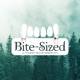 Bite-Sized: A Twilight Podcast