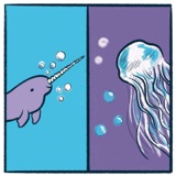 Narwhals vs. Jellyfish: A marine debate