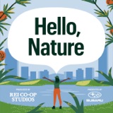 Introducing Hello, Nature