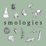 Smologies #34: PENGUINS with Tom Hart