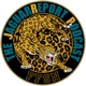 The JaguarReport Podcast