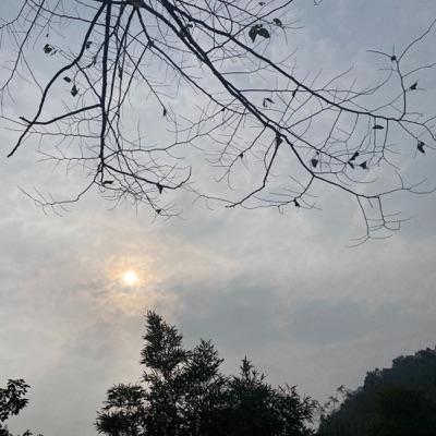 原创|热点话题活动合集