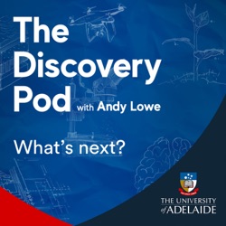 Welcome to The Discovery Pod