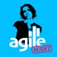 The Agile Audit