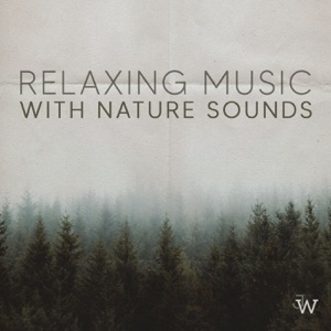 RELAXING MUSIC with Nature Sounds