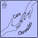 Care Chronicles