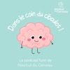 Dans le coin du ciboulot !