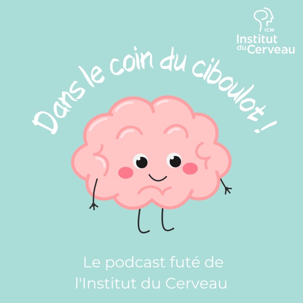 Dans le coin du ciboulot !