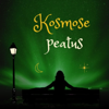 Kosmose peatus - Kosmose peatus