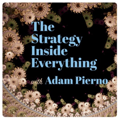The Strategy Inside Everything The Strategy Inside Everything