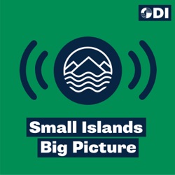 Why do small islands matter?