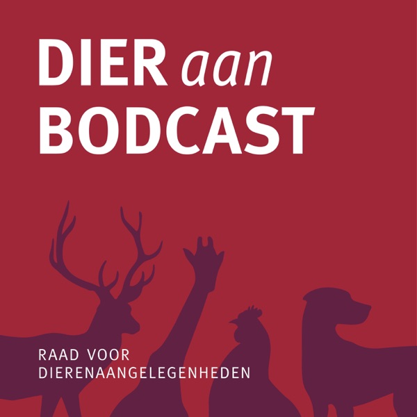 DIER aan BODCAST