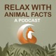 Relax With Animal Facts