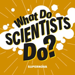 What Do Scientists Do?