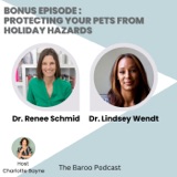 Bonus Episode : Protecting Your Pets from Holiday Hazards: A Comprehensive Guide with Veterinary Toxicologist Dr. Renee Schmid