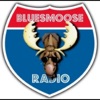 Blues Moose Radio (Blues music)