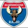 Blues Moose Radio (Blues music) - Blues Moose Radio