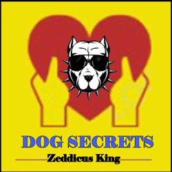 DOG SECRETS - Zeddicus King - The Dog Prodigy