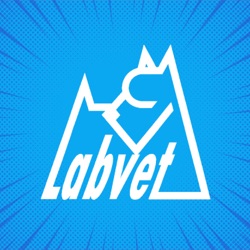 LABVET Podcast #62 - Se psím psychologem nejen o Silvestru