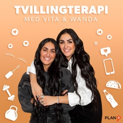 Tvillingterapi