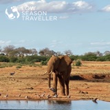 Low Season Safari, Tsavo, Kenya and a Baboon Close Call!