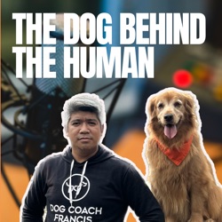The Dog Behind The Human