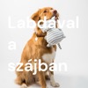 Labdával a szájban - Értsük meg a kutyánkat