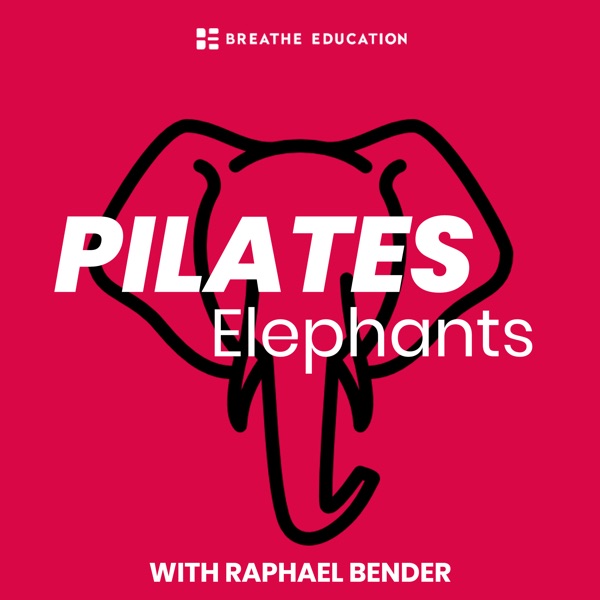 Pilates Elephants