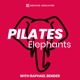 242. How to know what to focus on in your Pilates business, with Raphael Bender