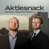 Aktiesnack