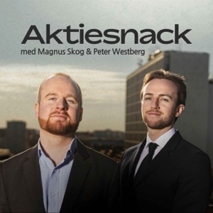 Aktiesnack