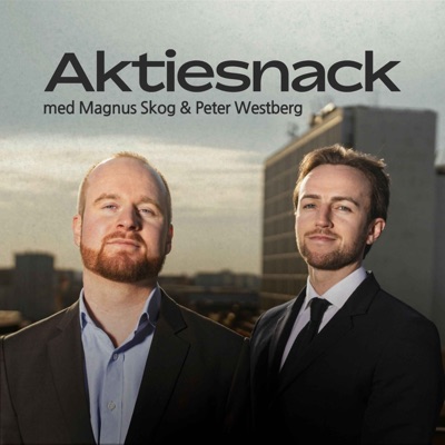 Aktiesnack