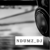 Ndumz_DJ - Ndumz_DJ