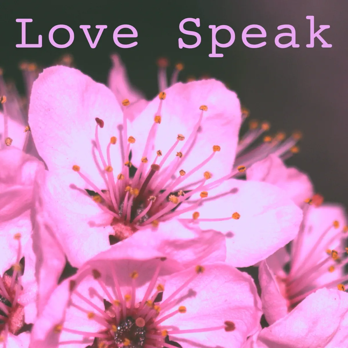Love Speak - Podcast - Apple Podcasts