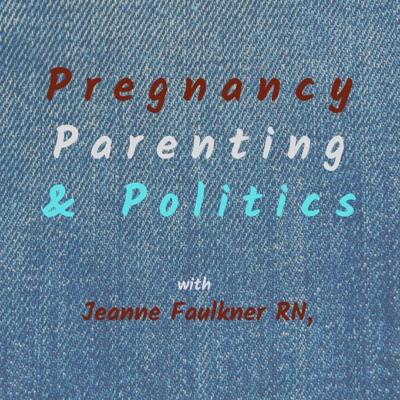 Pregnancy, Parenting & Politics:Jeanne M Faulkner